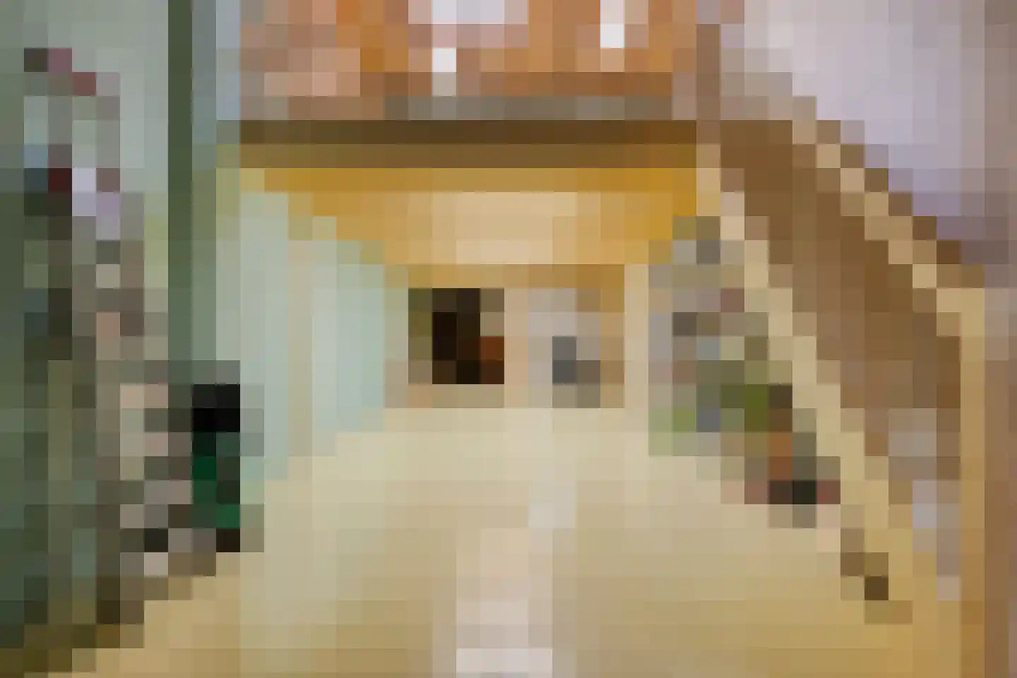 Pastoor van Akenstraat 24 Vlijmen thumbnail 76