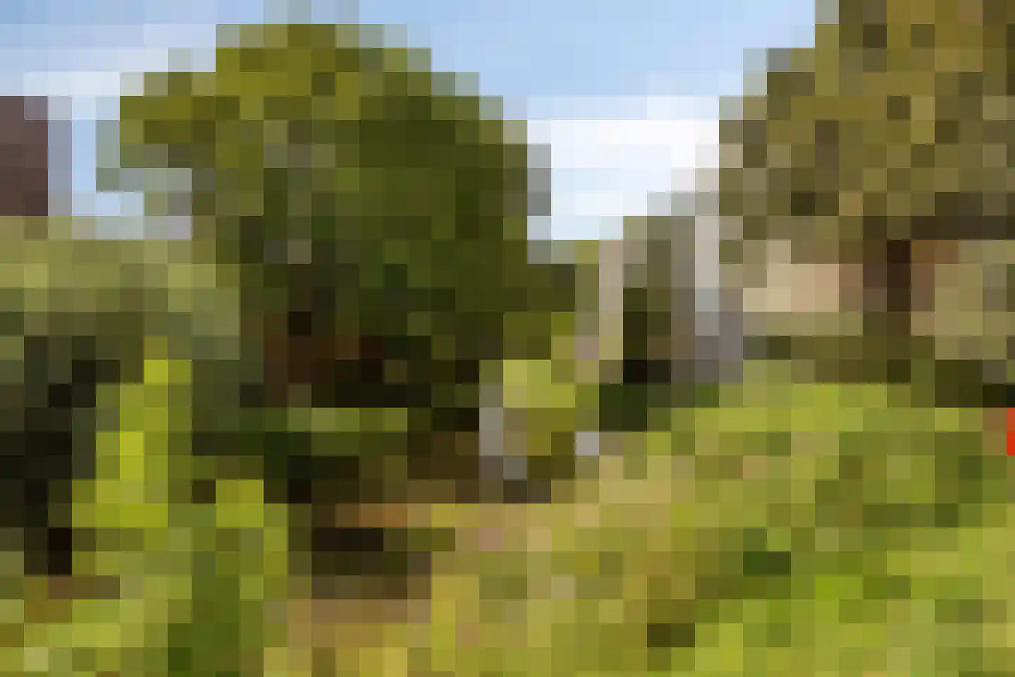 Pastoor van Akenstraat 44 Roosendaal thumbnail 34
