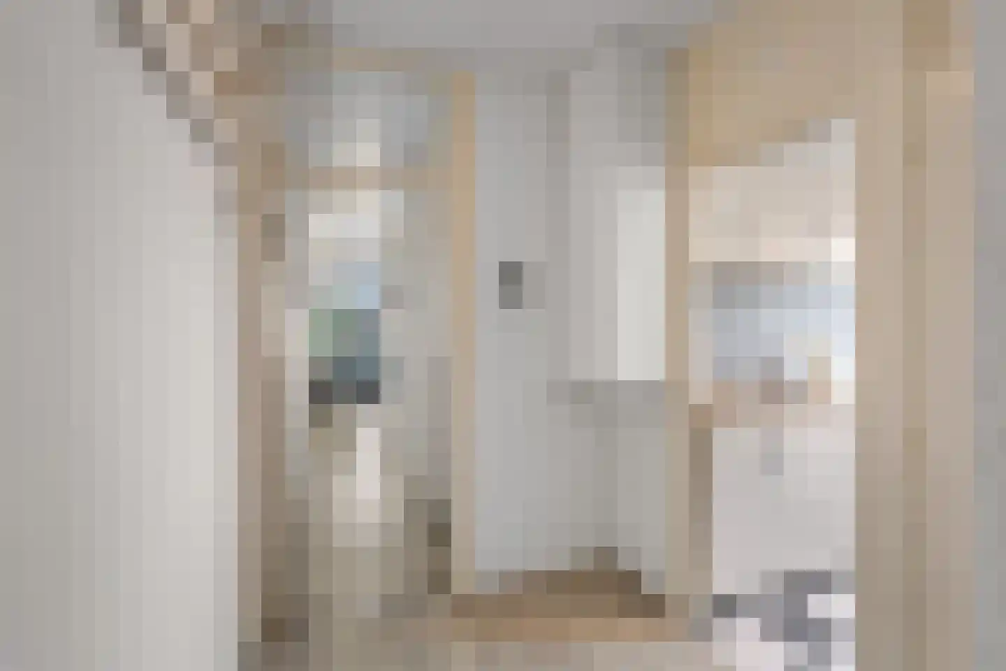 Pastoor van Akenstraat 62 Roosendaal thumbnail 17