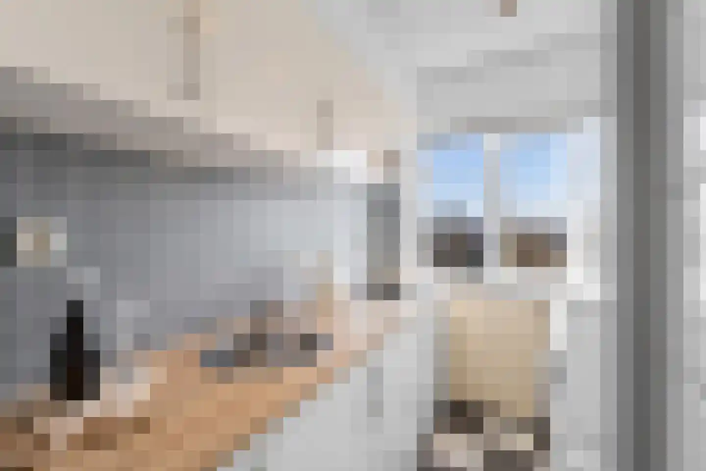 Pastoor van Akenstraat 62 Roosendaal thumbnail 6