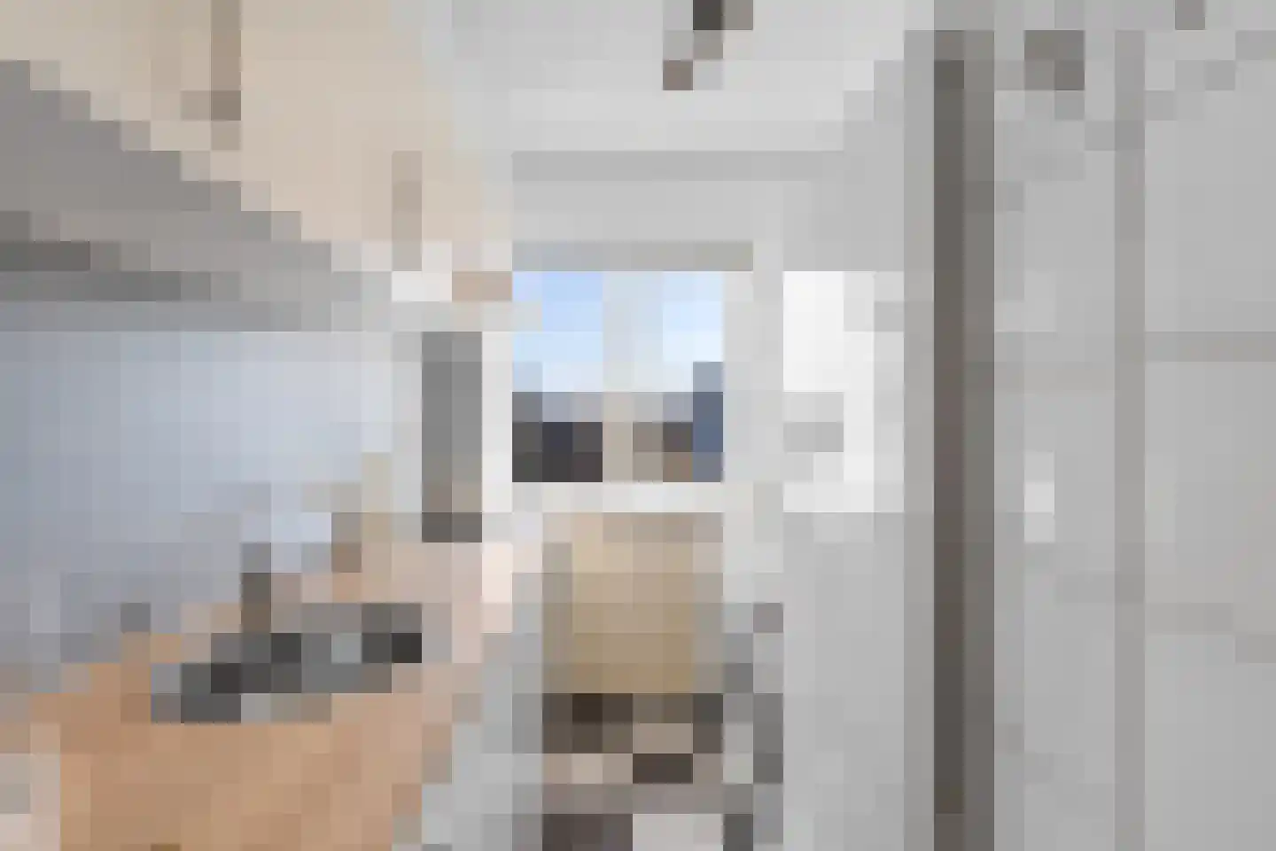 Pastoor van Akenstraat 62 Roosendaal thumbnail 7