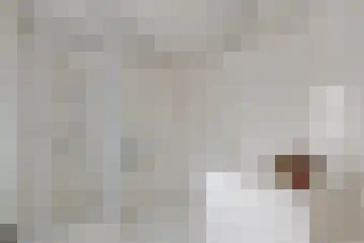 Pastoor van Akenstraat 9 B Vlijmen thumbnail 19