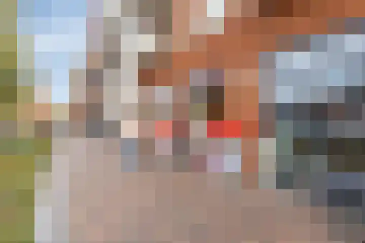 Pastoor van Akenstraat 9 B Vlijmen thumbnail 31