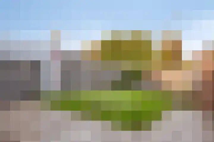 Pastoor van Angerenstraat 10 a Beek thumbnail 34