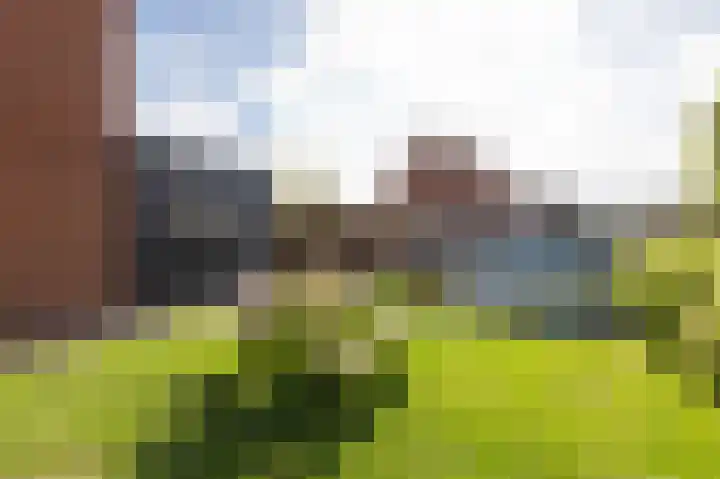 Pastoor van Angerenstraat 10 e Beek thumbnail 63