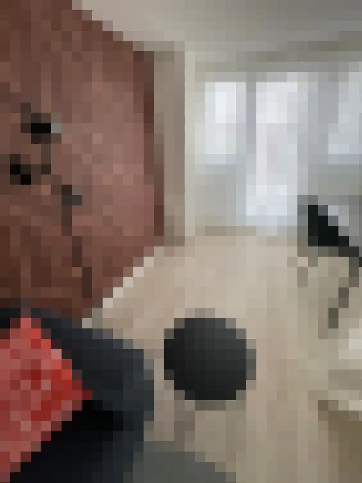Pastoor van Arslaan 1 Eindhoven thumbnail 4