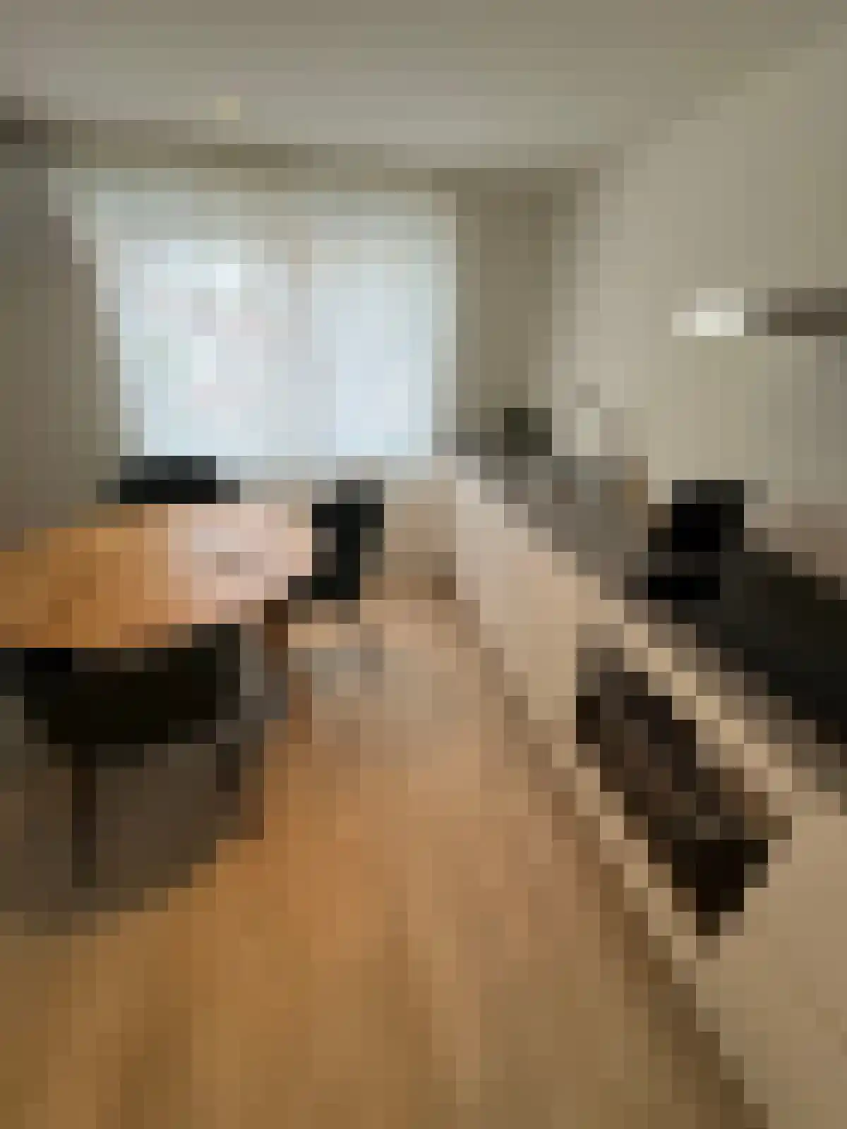 Pastoor van Arslaan 1 Eindhoven thumbnail 5