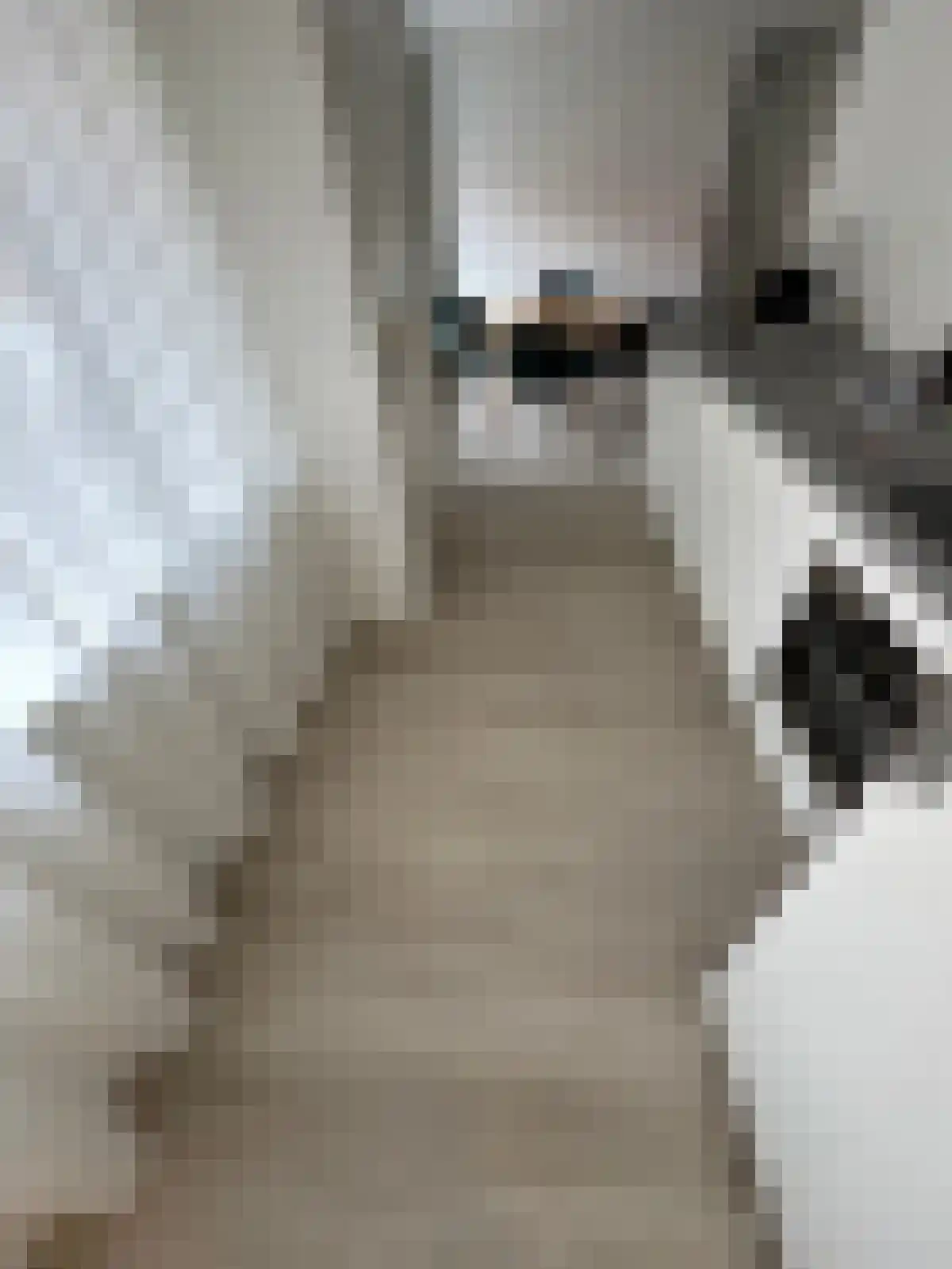 Pastoor van Arslaan 1 Eindhoven thumbnail 5