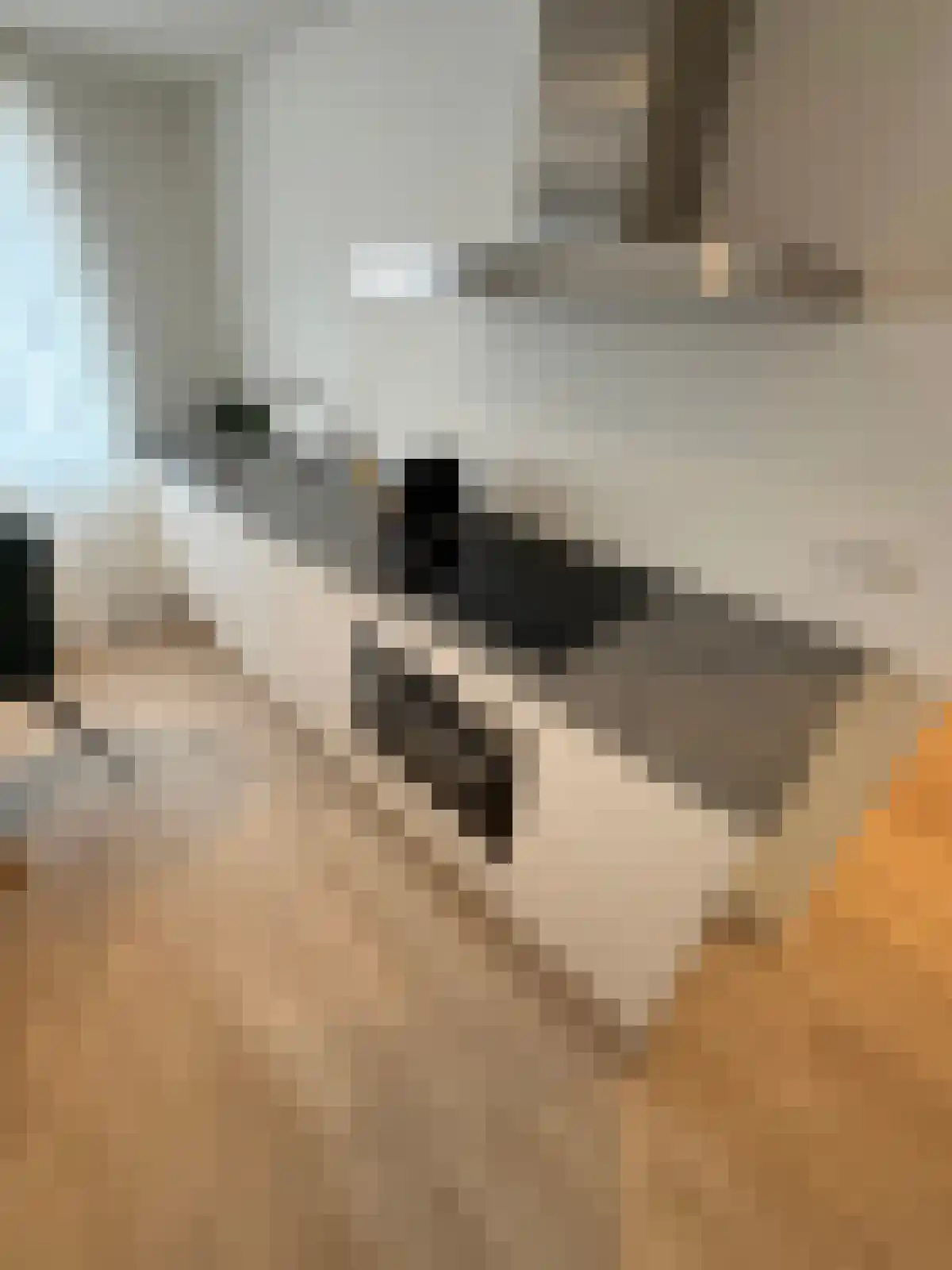 Pastoor van Arslaan 1 Eindhoven thumbnail 6