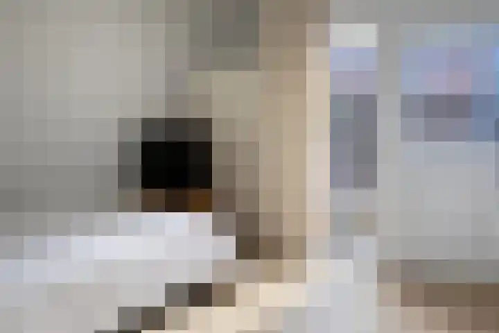 Pastoor van Arslaan 3 A Eindhoven thumbnail 13