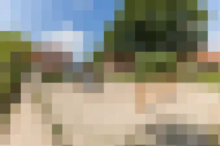 Pastoor van Arslaan 5 B Eindhoven thumbnail 20