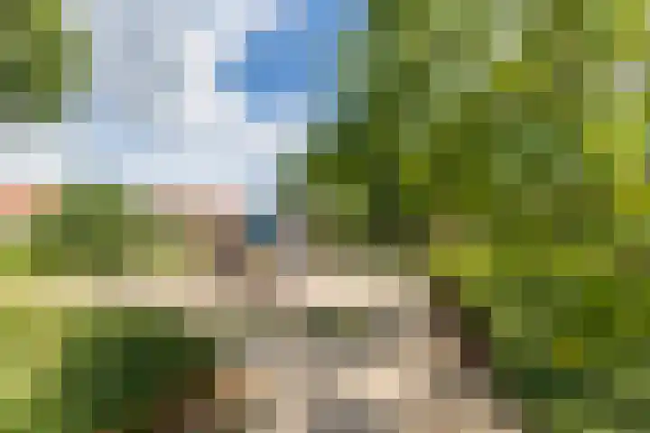 Pastoor van Arslaan 5 Eindhoven thumbnail 16