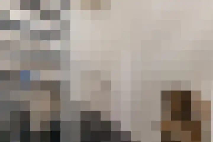 Pastoor van Arslaan 5 Eindhoven thumbnail 4