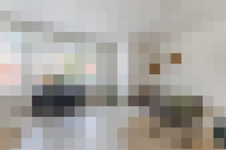 Pastoor van Arslaan 5 Eindhoven thumbnail 6