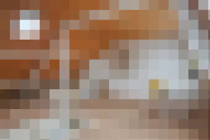 Pastoor van Arsplein 27 Eindhoven thumbnail 27