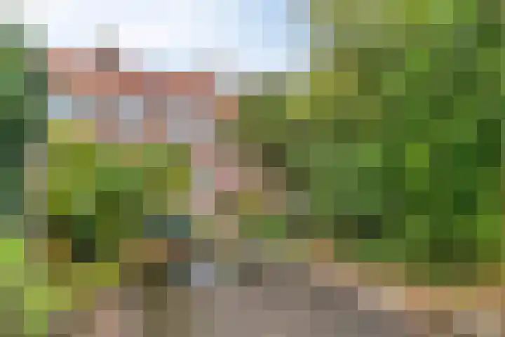 Pastoor van Arsplein 27 Eindhoven thumbnail 31