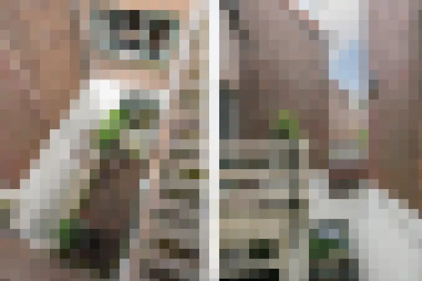 Pastoor van Arsplein 36 Eindhoven thumbnail 44