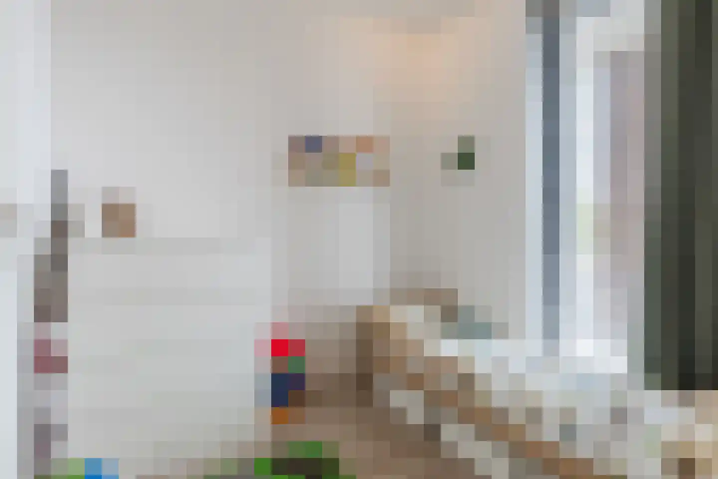 Pastoor van Beugenstraat 100 Oisterwijk thumbnail 11