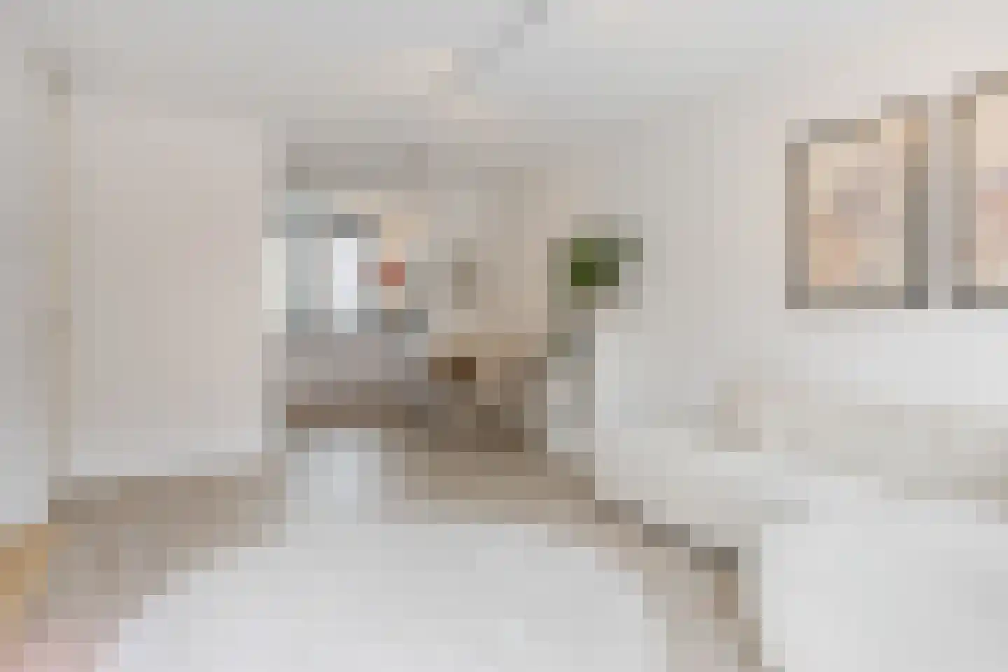 Pastoor van Beugenstraat 100 Oisterwijk thumbnail 4