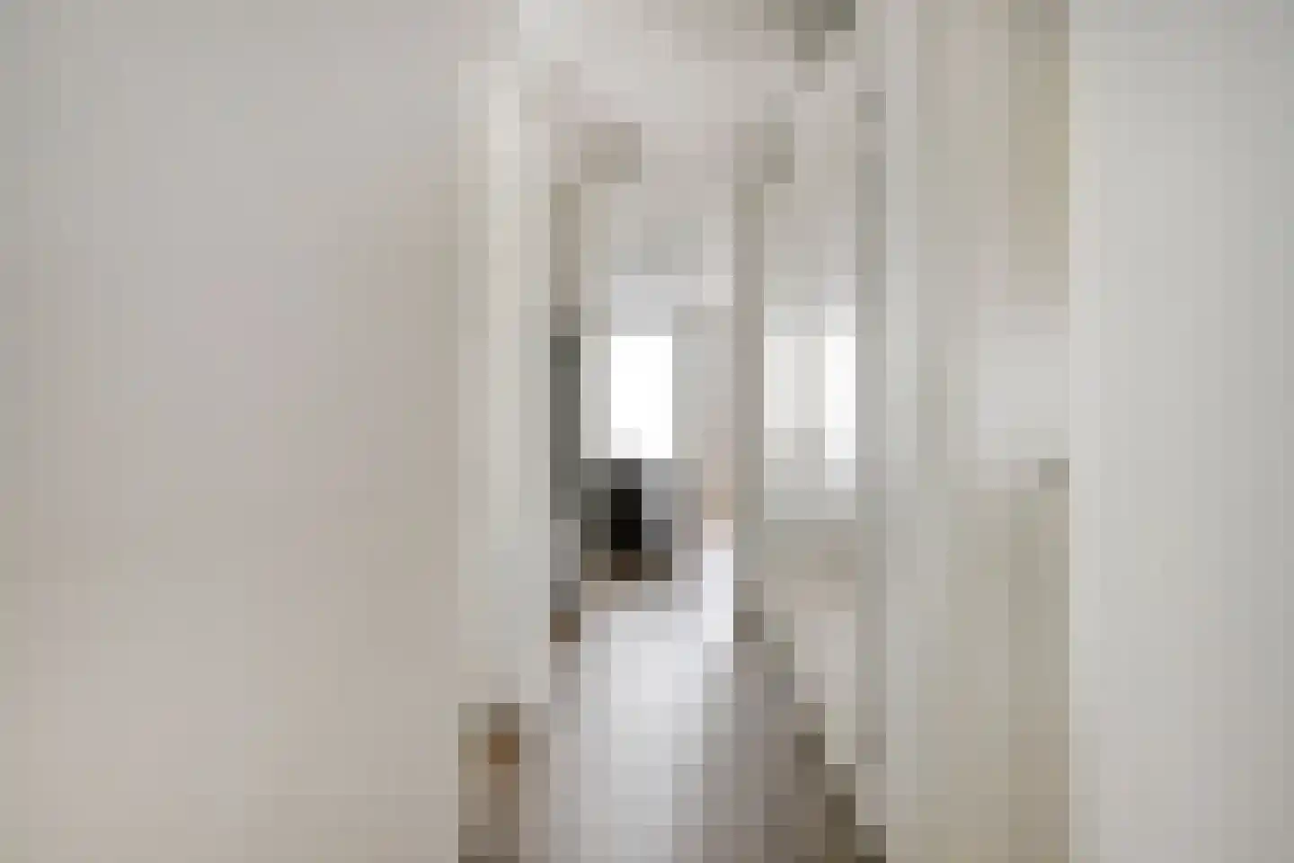 Pastoor van Beugenstraat 140 Oisterwijk thumbnail 11