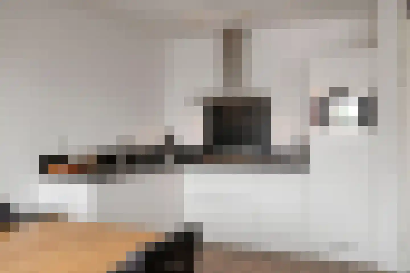 Pastoor van Beugenstraat 140 Oisterwijk thumbnail 9