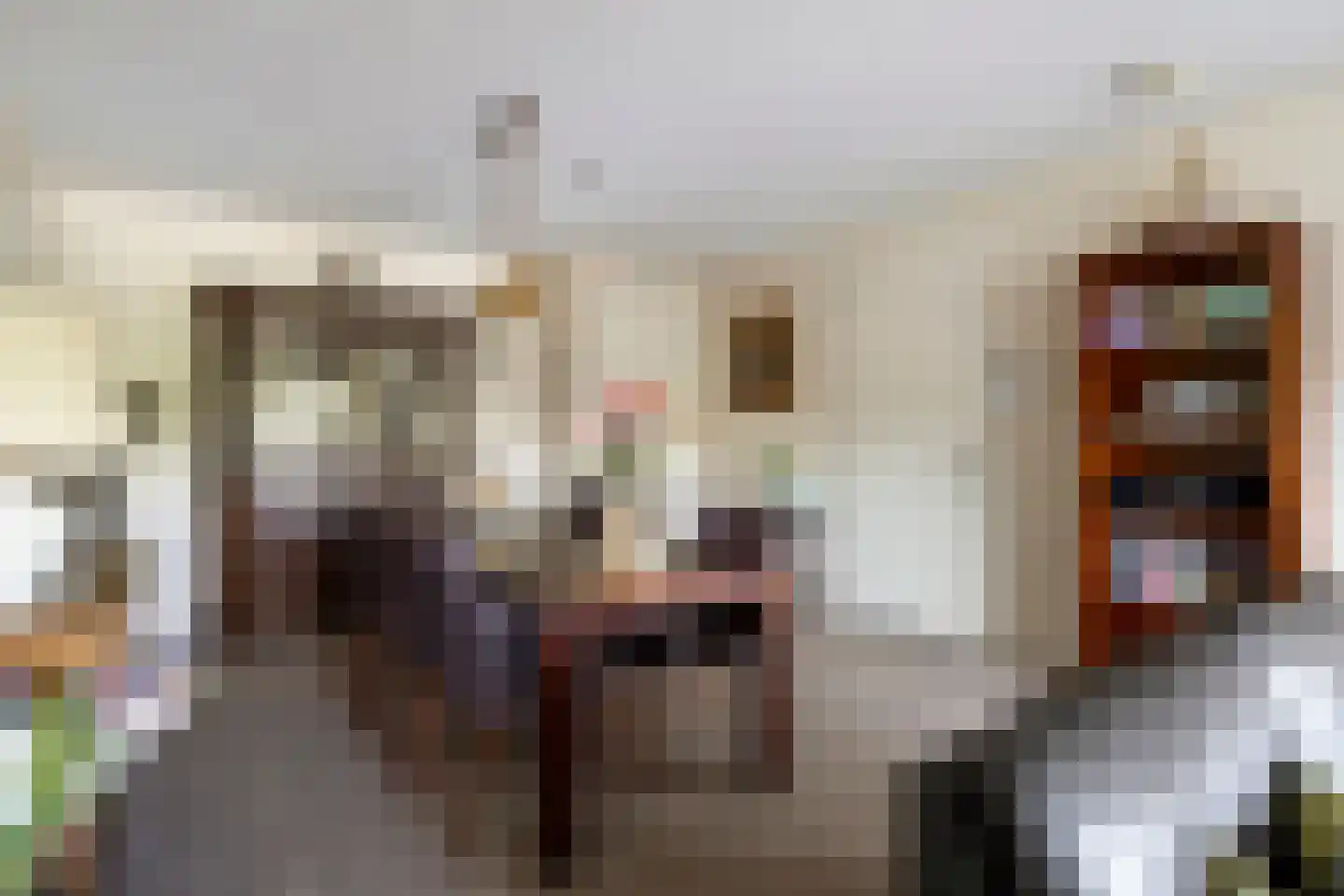 Pastoor van Beugenstraat 49 Oisterwijk thumbnail 13