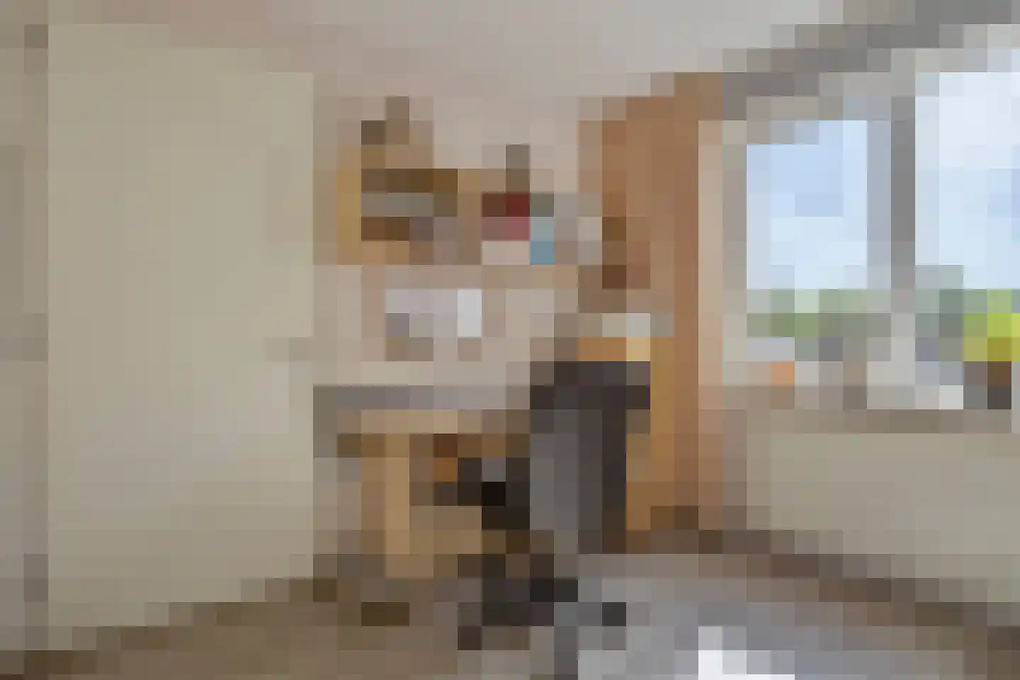 Pastoor van Beugenstraat 49 Oisterwijk thumbnail 25