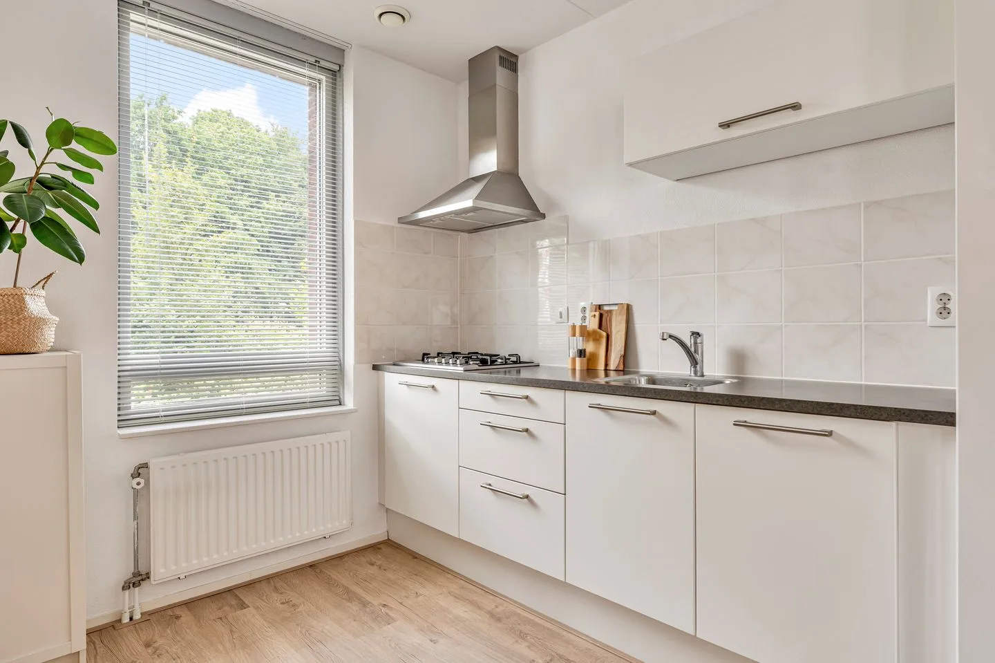 Pastoor van Beugenstraat 52 Oisterwijk thumbnail 10