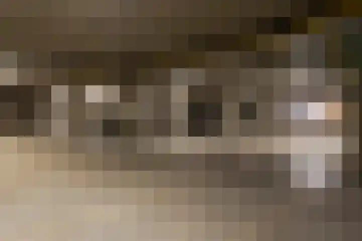 Pastoor van Beugenstraat 56 Oisterwijk thumbnail 33