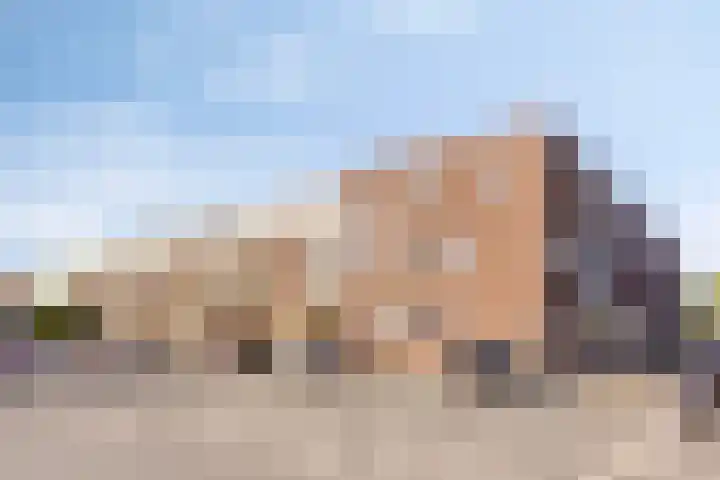Pastoor van Beugenstraat 62 Oisterwijk thumbnail 33