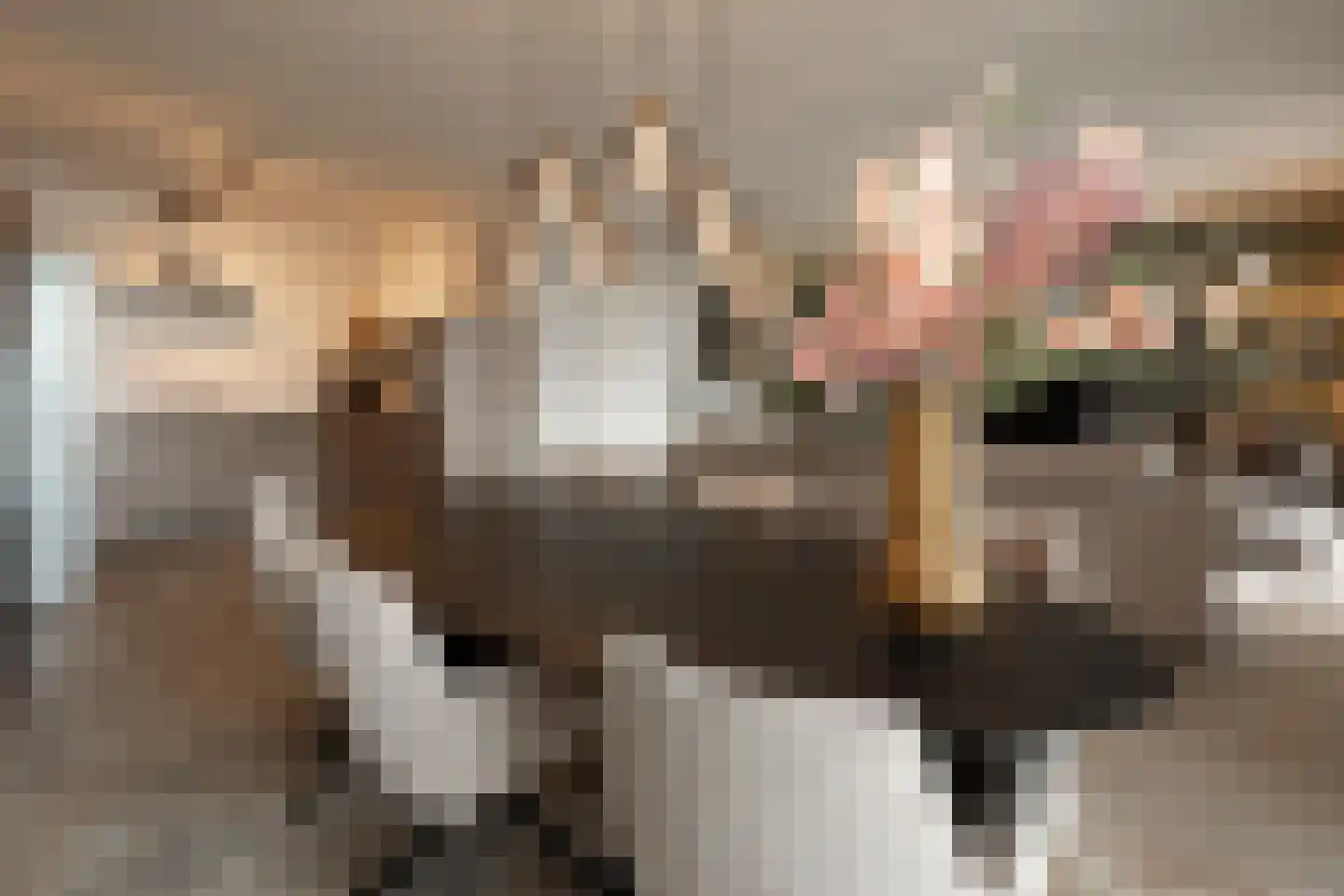 Pastoor van Beugenstraat 76 Oisterwijk thumbnail 5
