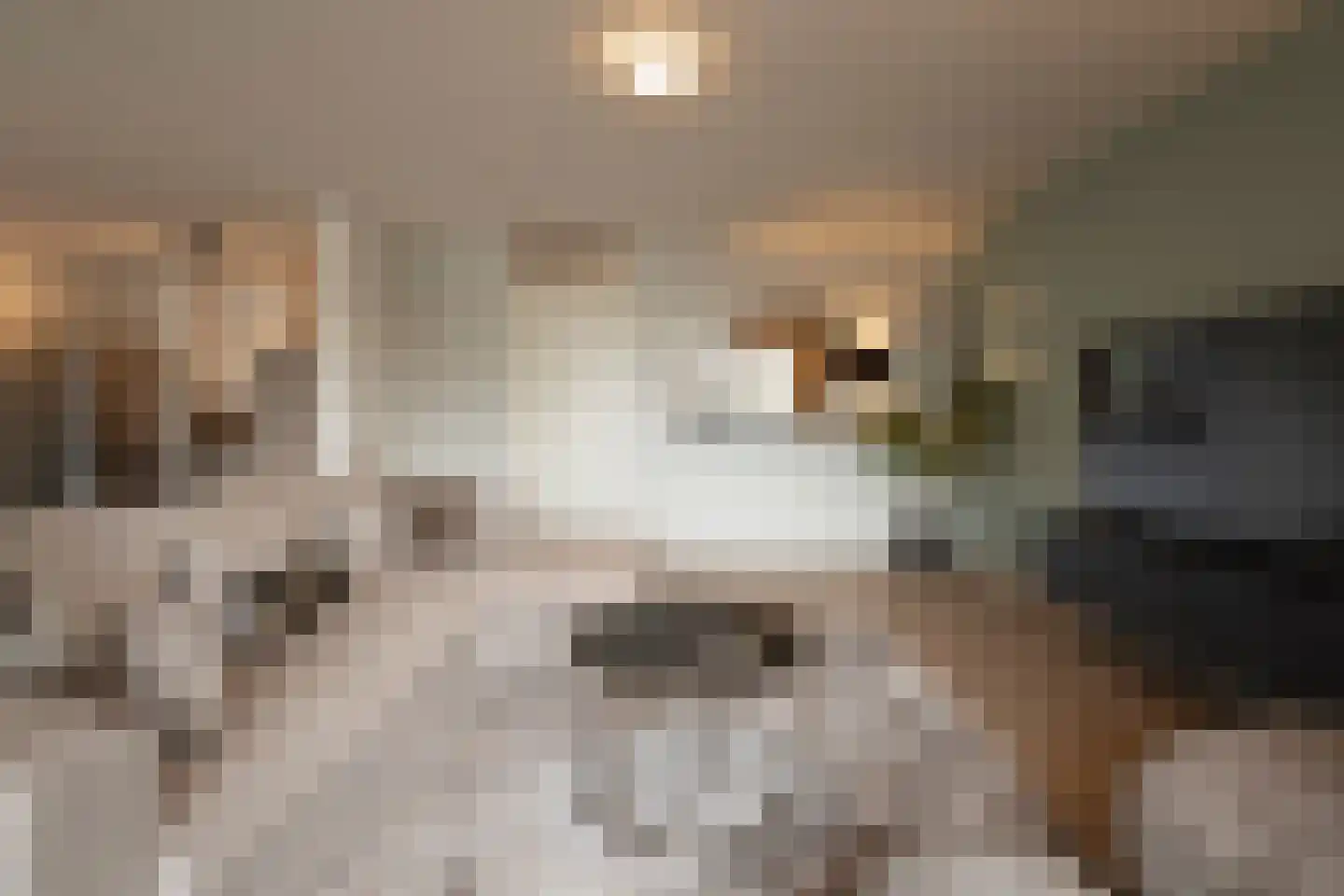 Pastoor van Beugenstraat 76 Oisterwijk thumbnail 6