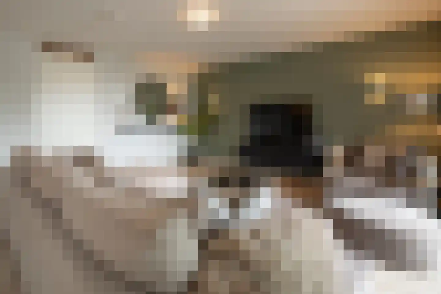 Pastoor van Beugenstraat 76 Oisterwijk thumbnail 9
