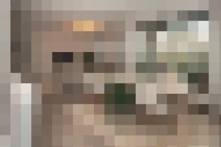 Pastoor van Beugenstraat 82 Oisterwijk thumbnail 4