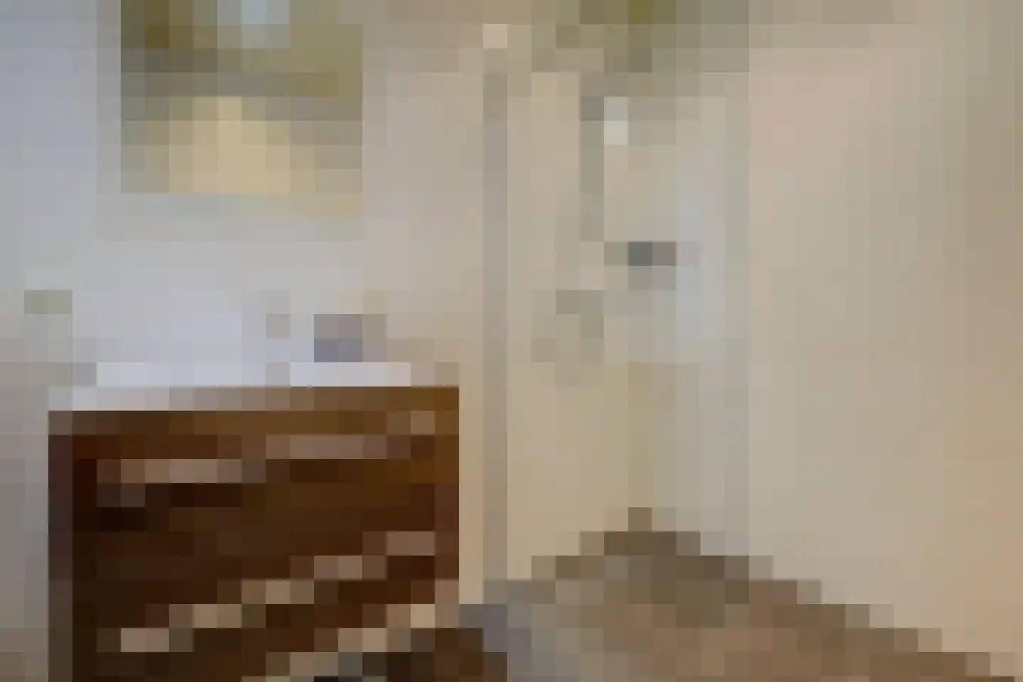 Pastoor van Beugenstraat 86 Oisterwijk thumbnail 25