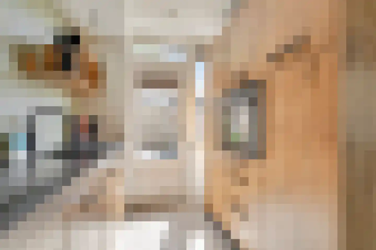 Pastoor van Beurdenstraat 10 Tilburg thumbnail 11
