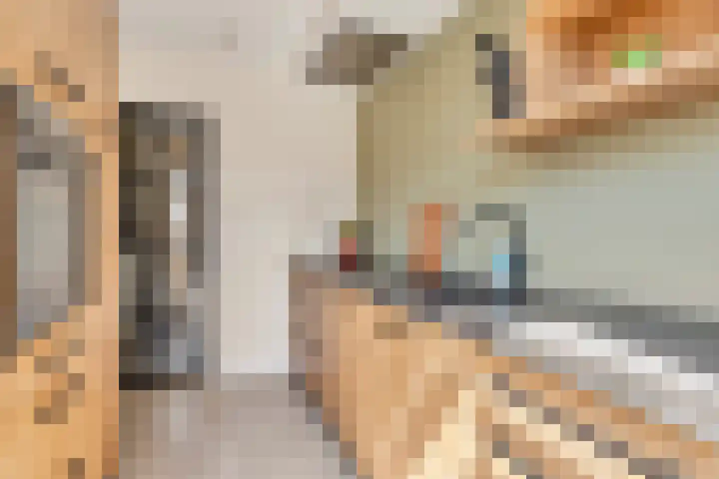 Pastoor van Beurdenstraat 10 Tilburg thumbnail 12