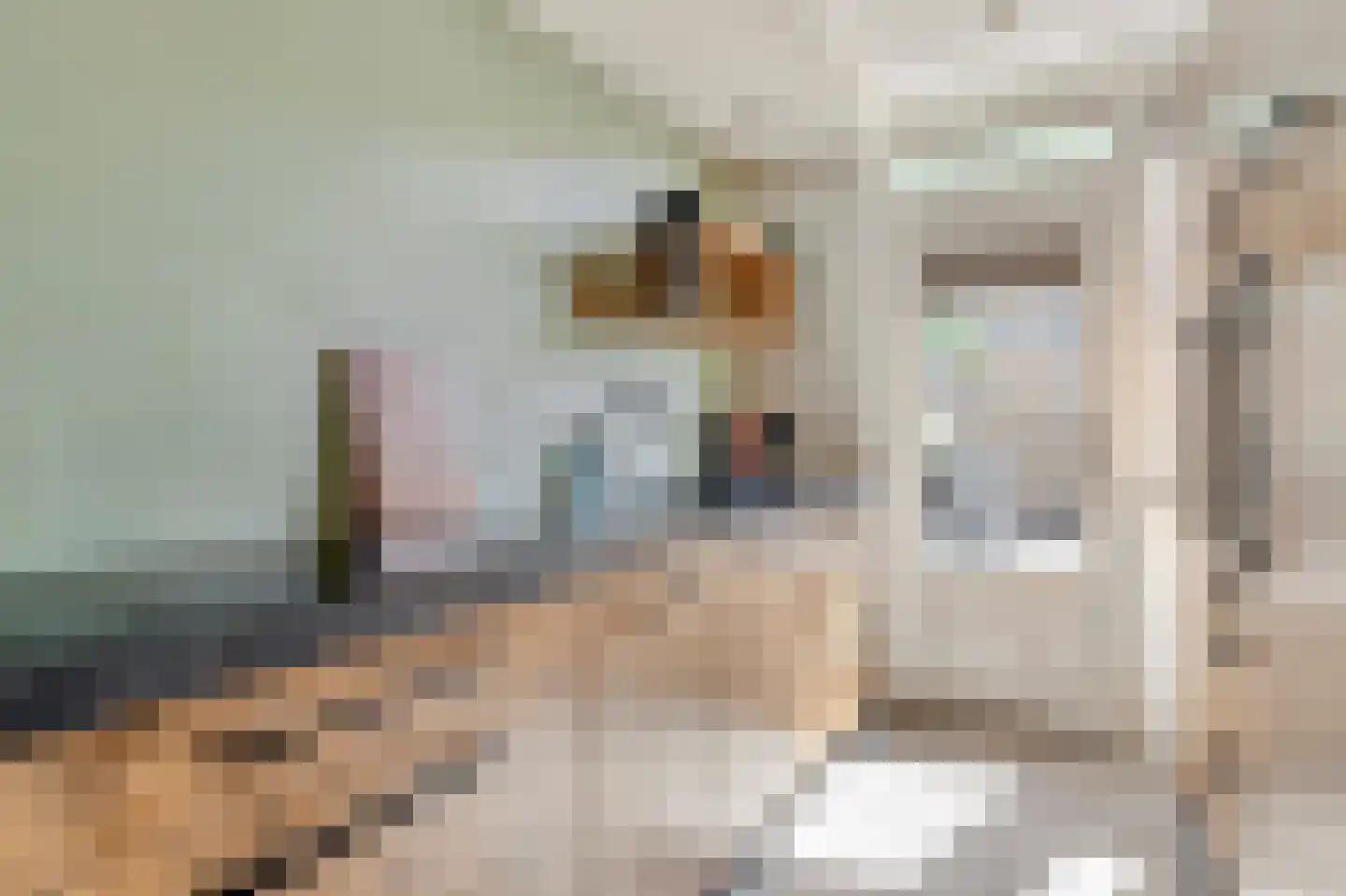 Pastoor van Beurdenstraat 10 Tilburg thumbnail 13