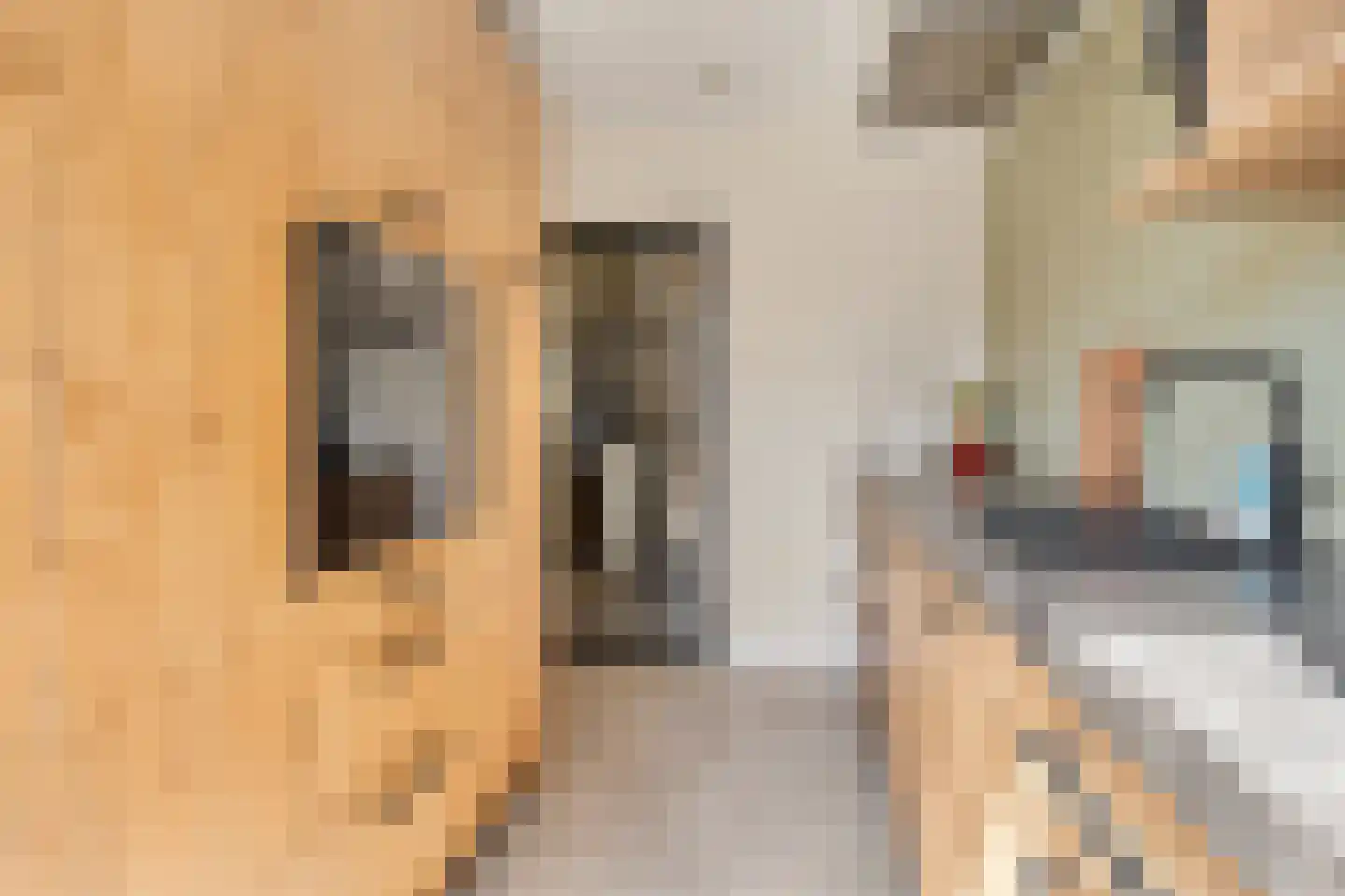 Pastoor van Beurdenstraat 10 Tilburg thumbnail 14