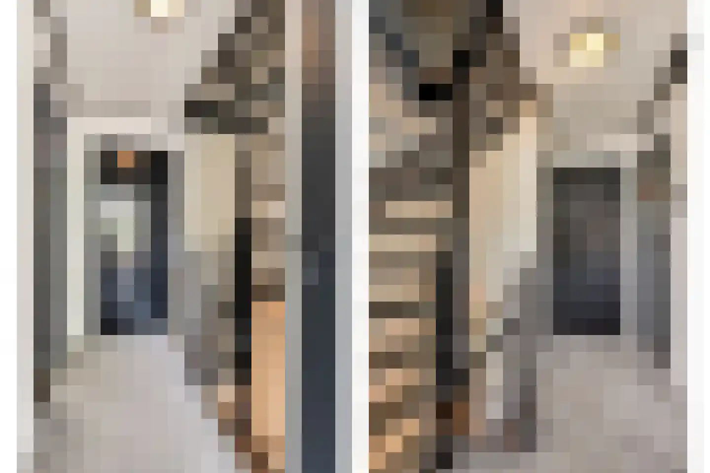 Pastoor van Beurdenstraat 10 Tilburg thumbnail 27