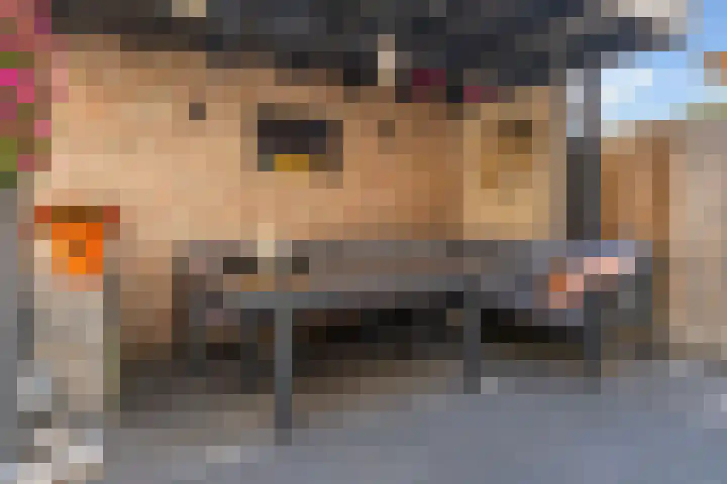 Pastoor van Beurdenstraat 10 Tilburg thumbnail 33