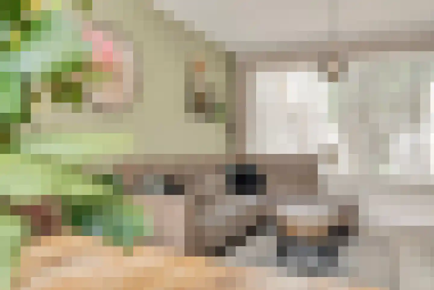 Pastoor van Beurdenstraat 10 Tilburg thumbnail 6
