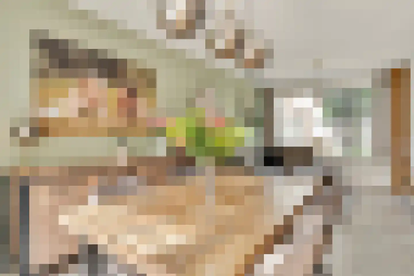 Pastoor van Beurdenstraat 10 Tilburg thumbnail 7