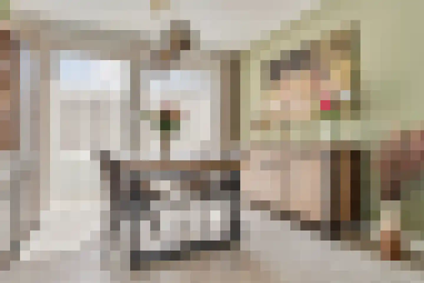 Pastoor van Beurdenstraat 10 Tilburg thumbnail 8