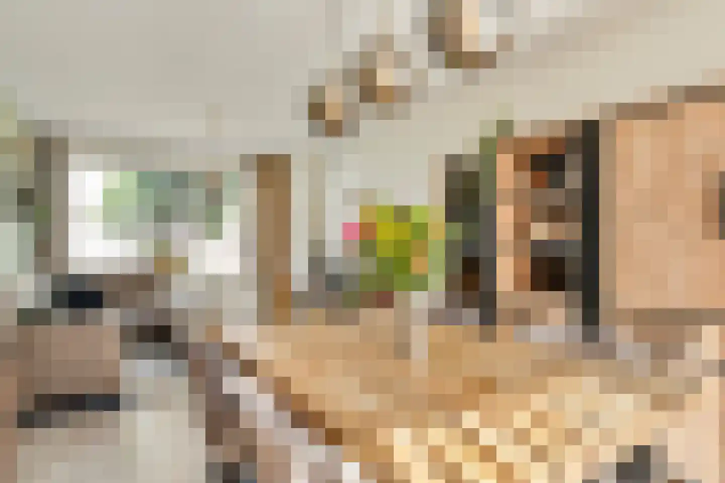 Pastoor van Beurdenstraat 10 Tilburg thumbnail 9