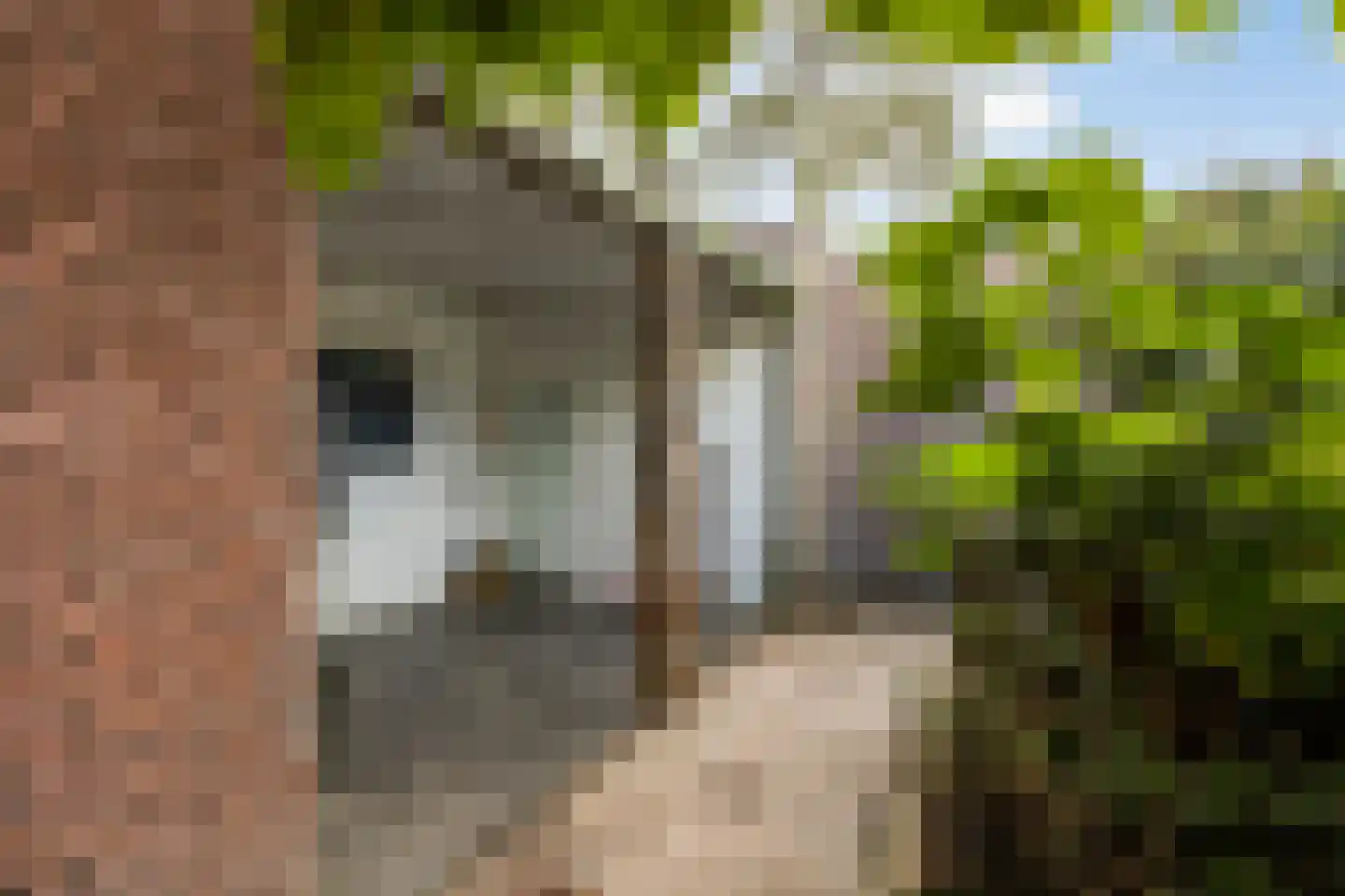 Pastoor van Beurdenstraat 61 Tilburg thumbnail 22