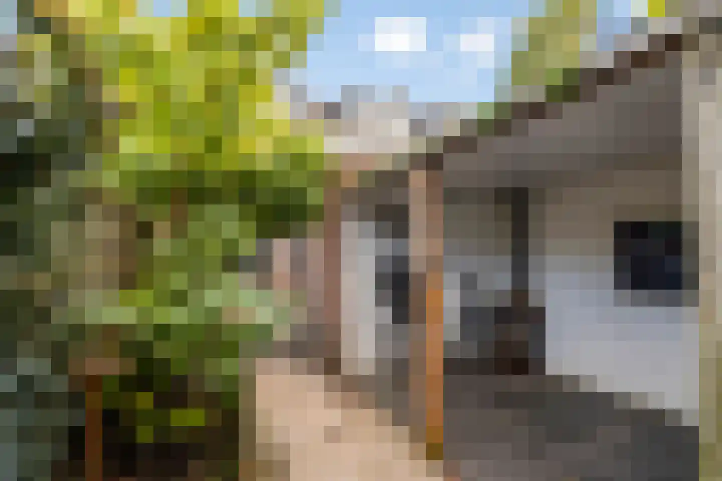 Pastoor van Beurdenstraat 61 Tilburg thumbnail 23