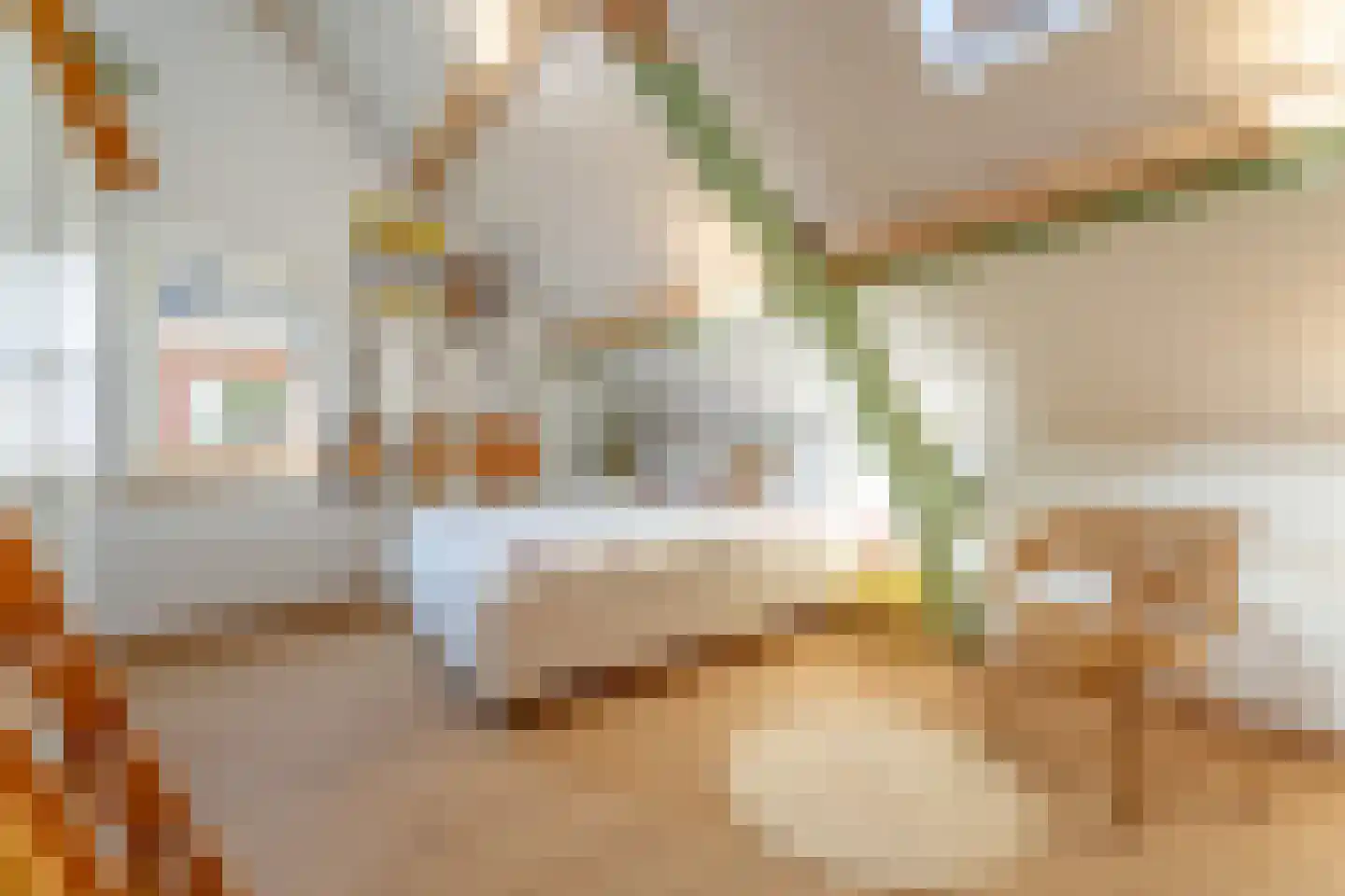 Pastoor van Beurdenstraat 87 b Tilburg thumbnail 15