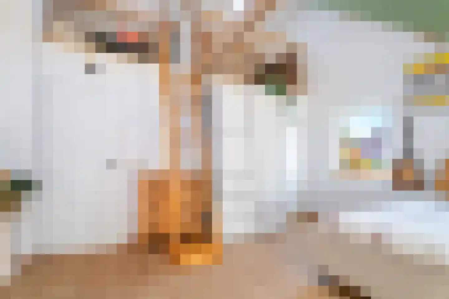 Pastoor van Beurdenstraat 87 b Tilburg thumbnail 17