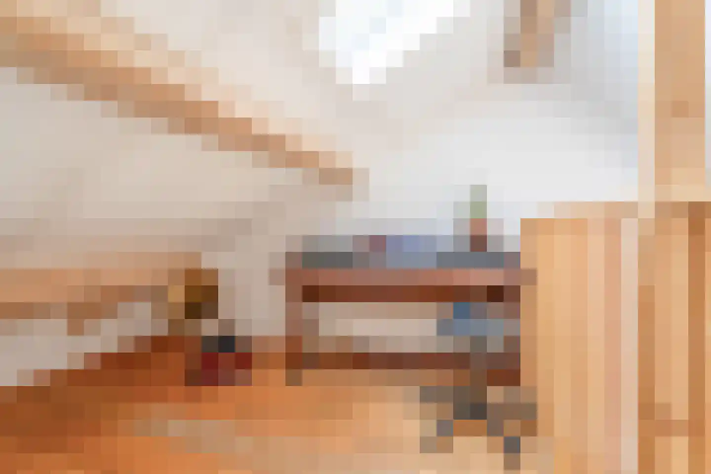Pastoor van Beurdenstraat 87 b Tilburg thumbnail 21